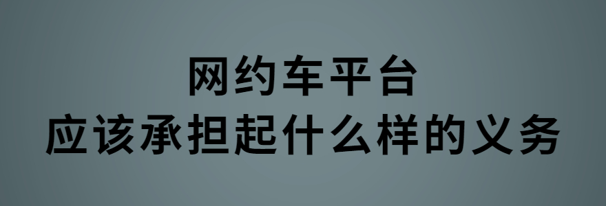 網約車平臺應該承擔起什么樣的義務、怎樣承擔才能夠滿足安全保障的需要？