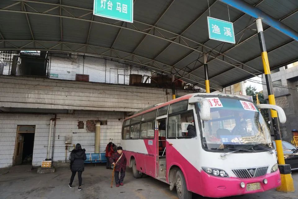 羅佳明接受《中國交通報》專訪：建立鄉村運輸發展新模式